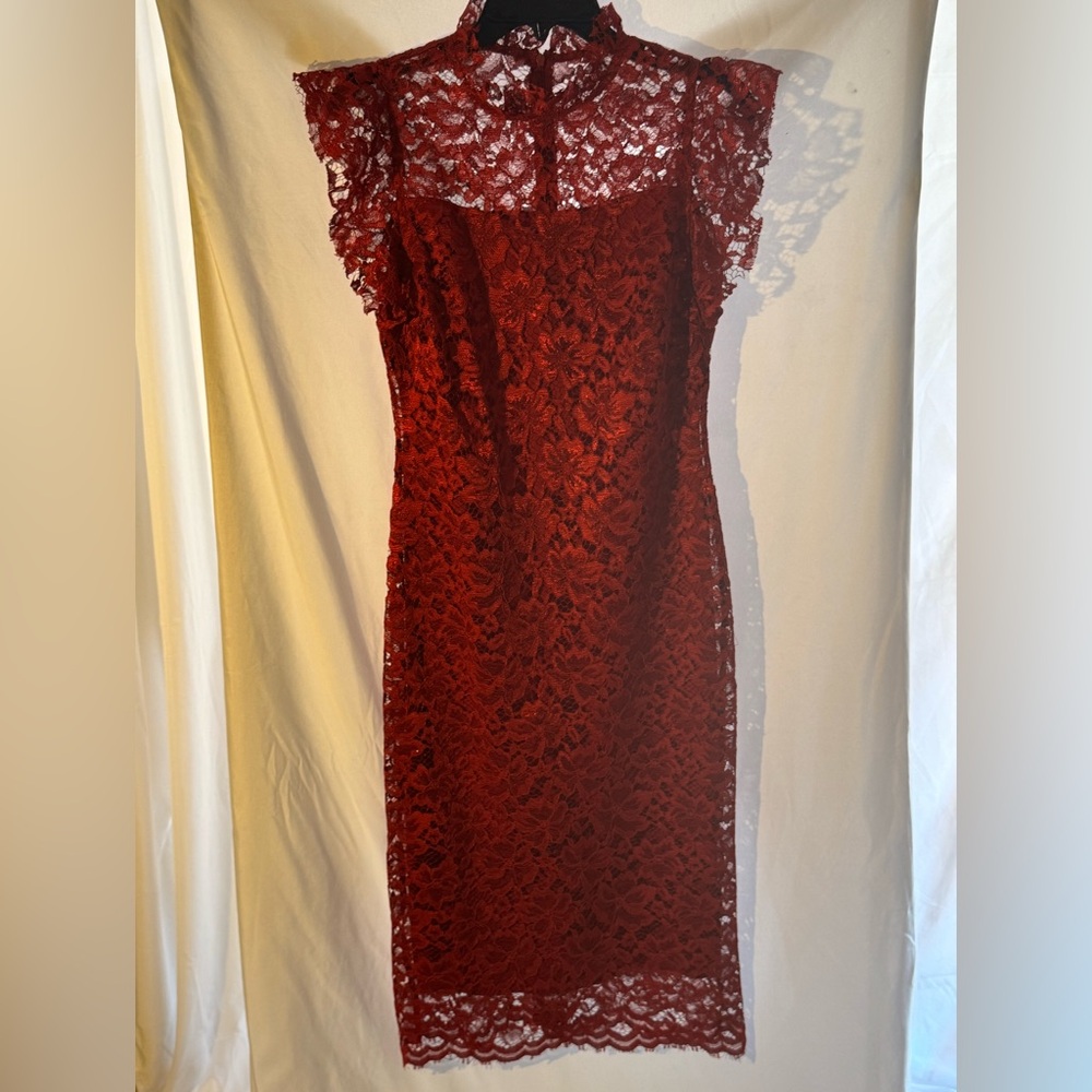 Enfocus Studio Scarlet Lace Dress
